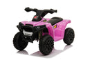 Kids Quad ATV Ride-On Toy Bike with 6V Battery and Four Wheels Magic Cars Variant 0