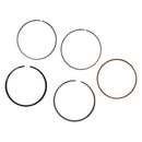 Ring Set (61mm) for 1100-1288
