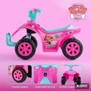 Paw Patrol Skye 6V Rechargeable ATV Quad Ride-On for Kids