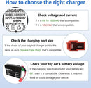 6V Charger for Ride-On Toys - Works with BMX X6 & Children's Vehicles