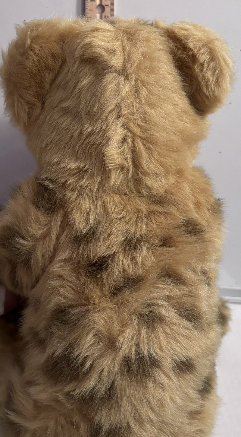 Interactive Animated Lion Cub Toy Deluxe Battery Operated 2017 Model