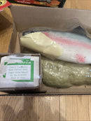 Gemmy Travis Motion-Activated Singing Trout Fish Toy
