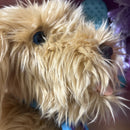 Interactive Moji the Adorable Labradoodle Pet - Condition Details Inside