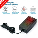 Weeylif 24V Charger for Kids' Ride-On Toy Cars, Black