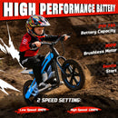 300W 24V Kids Off-Road Electric Balance Bike with LED Lights and Music, 2 Speed