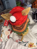 Singing Mariachi Puppy Plush Toy Dancing to 'Macarena'
