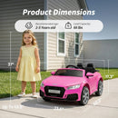 Hikiddo Audi TTRS 24V Electric Ride-On Car for Children