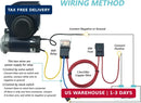 Blue 12V Truck Air Horn Kit with Compressor and Relay Harness