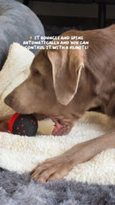 Diman Remote-Controlled Interactive Dog Ball Toy Made from E-TPU