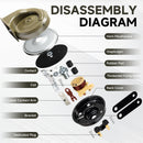 12V Dual-Tone Electric Snail Horn Kit for Automobiles