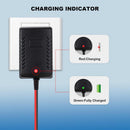 6V Battery Charger for Kids Ride-On Cars Compatible with BMX X6, Kid TRAX, and Disney GM