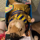 Cleo the Dancing Hamster Plush Toy - Battery Operated and Interactive for Ages 5+
