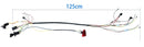 DIY Electric Conversion Kit for Kid's Ride On Cars (6V, 12V, 24V)