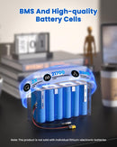 8Ah Li-ion Rechargeable Battery Pack with 25.2V 2A Charger