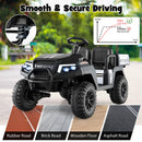 24V 7AH 4WD Black Kids Golf Cart Ride-On Car for 2 with Storage & Remote Control