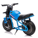 24V 300W XL Electric Toy Motorcycle for Kids with 14" Fat Tires, Speed Up to 11.18 MPH