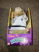 Gemmy 2001 Dancing Kung Fu Hamster Performs "Kung Fu Fighting"