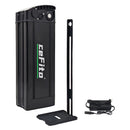 High-Performance 48V 20Ah Electric Bike Battery with 30A BMS for Various Power Outputs