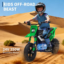 24V Electric Dirt Bike for Kids with 350W Motor - 13 MPH Ride-On Motorcycle