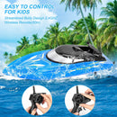 Lumiparty 2PACK Remote Control Boats for Kids and Adults, 10km/H 2.4G Speed