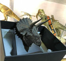 PNSO Marsh Dolly Sterrholophus 1/15 Dinosaur Collectible Art Figure
