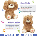Huggable Peek-A-Boo Bear Plush with Singing and Talking Features