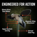MOJO Outdoors Voodoo Dove Motorized Spinning Wing Decoy with 16-Hour Battery Life