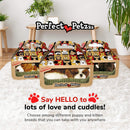 Realistic Lifelike Shih Tzu Stuffed Interactive Pet