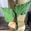 Gemmy Animated SUNNY Sunglasses-Wearing Singing Sunflower with Hidden Nature