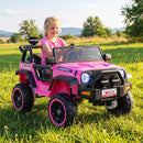 24V Dual-Seater Children's Ride-On Truck with Doors, Remote, Horn, and Music - Pink