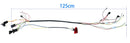 Electric Conversion Kit for Children's Ride-On Toys - 6V, 12V, 24V Wiring Harness Set