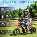 24V 250W Electric Dirt Bike for Big Kids - Mini Motorcycle Ride-On