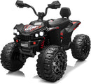 24V Kids 2-Seater 4X4 ATV Ride-On Car with 800W Motor