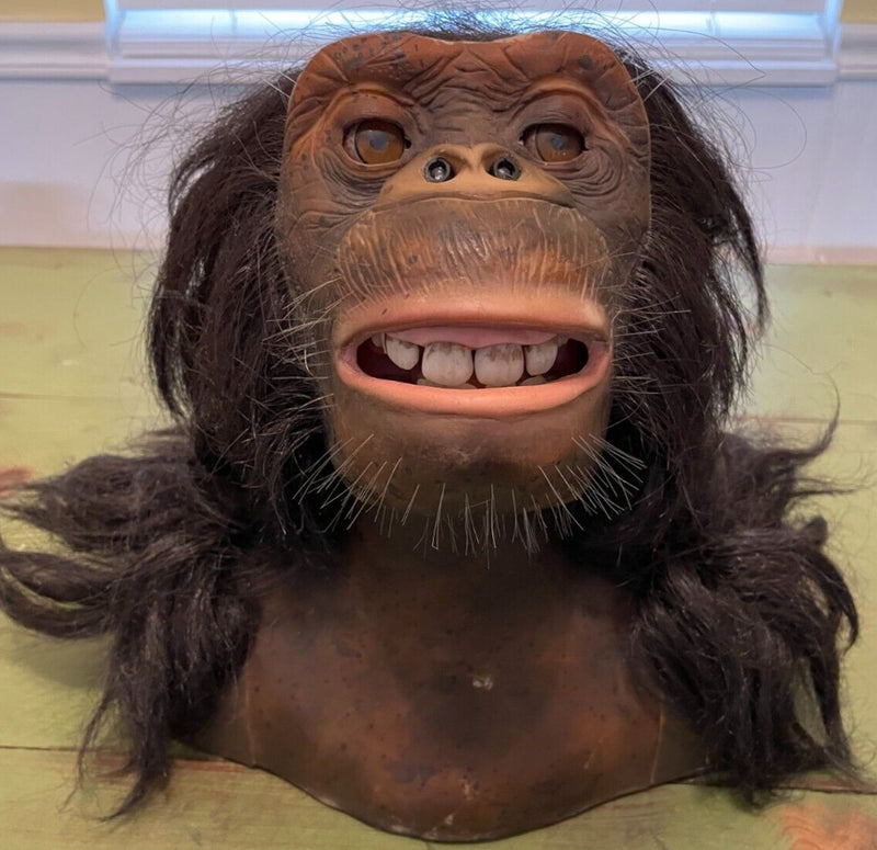 Interactive Animatronic Chimpanzee Monkey Prop from 2005 Haunted House Horror Collection
