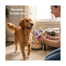 Nestpark Funny Plush Dog Toys - Adorable Squeaky Pups with Crinkle Sound
