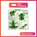 Civaner 12 Realistic Mini Plastic Frog Figures for Children