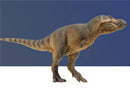 PNSO Lu Xiong Zhuchengtyrannus magnus Dinosaur Scientific Art Figure