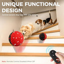 Diman Remote-Controlled Interactive Dog Ball Toy Made from E-TPU