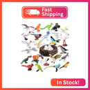 kukifun 30-Piece Realistic Bird Figurine Set with Nest and Eggs