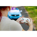 Disney Frozen 12V Electric Ride-On Car with Remote for Kids Aged 3-5