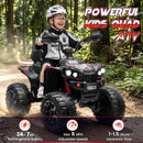 24V Kids 2-Seater 4X4 ATV Ride-On Car with 800W Motor
