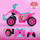 Paw Patrol Skye 6V Quad for Kids - Safe and Thrilling Ride-On Experience