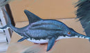 PNSO Brook Ophthalmosaurus Collectible Dinosaur Art Figure