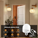 Set of 2 Boho Battery-Operated Wall Sconces with Wood and Bamboo Design
