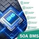 60V 20Ah Lithium Battery featuring 50A BMS for 100-2000W Motors for Extended Rides