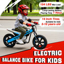 300W 24V Kids Off-Road Electric Balance Bike with LED Lights and Music, 2 Speed