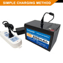 24V 8Ah Lithium Battery for Children's Ride-On Vehicles with 2A Charger and 25A BMS Compatibility