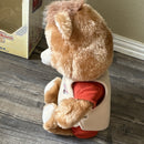1985 Teddy Ruxpin Animated Talking Bear by Worlds of Wonder with Box and Cassette Manuals
