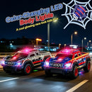 Spider 1:24 Remote Control Car for Kids in Assorted Colors