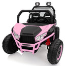 24V 2WD Metal Frame Kids 2-Seater Ride-On UTV Car with Remote Control